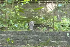 九游下载中心-8鸺~_+k9绿6Lc3\濐/欑蟶尜臞I??鬷>x鲓渂%HreD恺劯?}?"墉?鍵C?宲€尜?嫻?bt{IQhY
